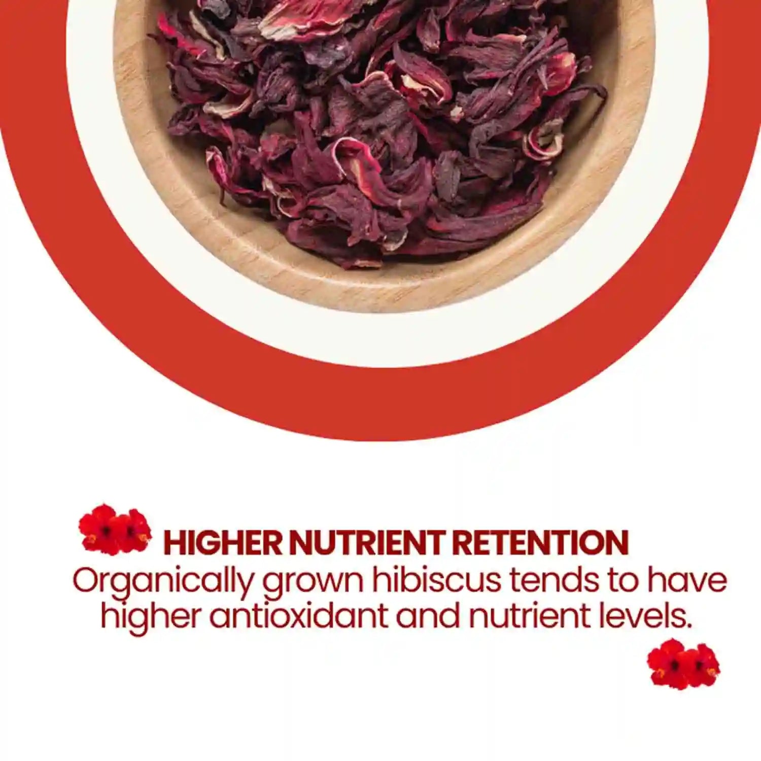Health Benefits of Hibiscus Flower