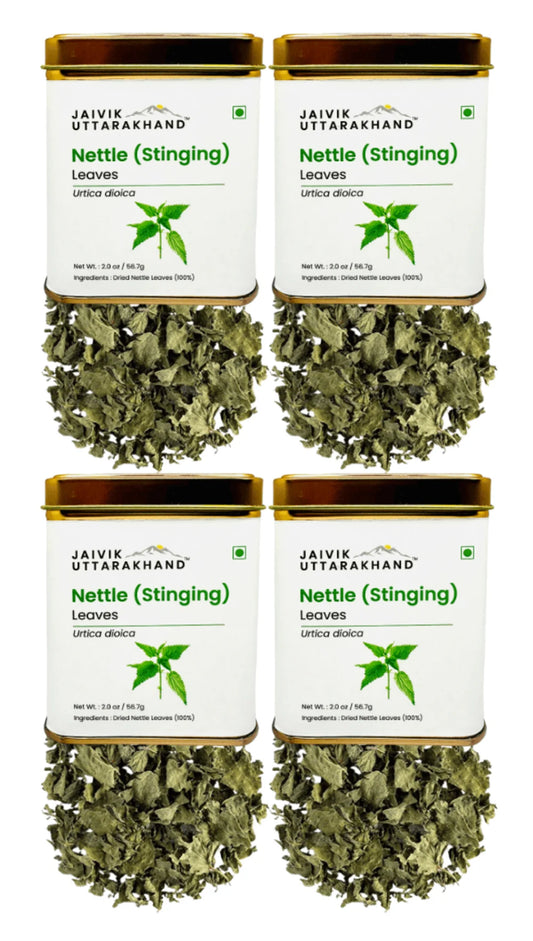 Nettle Tea Tin Box 226.8 Gram