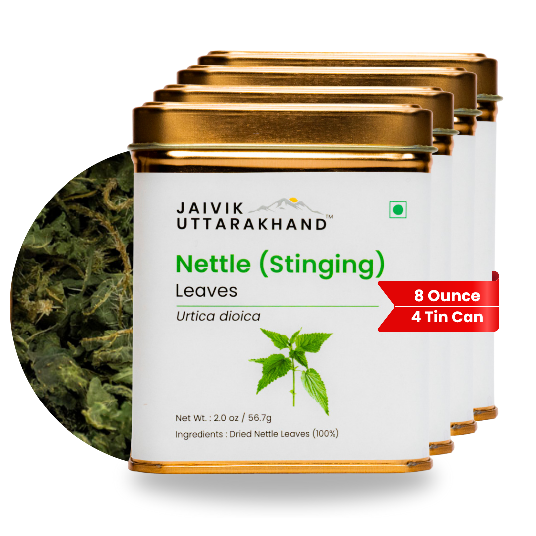 Nettle Tea 08 oz (226.8 gram)