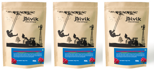 ROM_Front_version_1_InUse_1