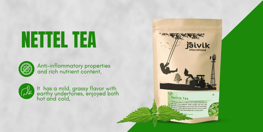 Health Benefits of Nettle Tea: A Herbal Powerhouse for Body, Mind & Budget