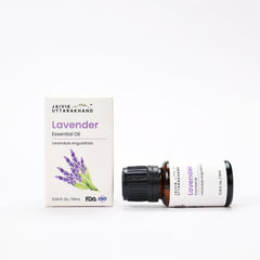 Lavender Essential Oil