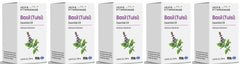 Basil Essential Oil