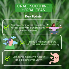 Benefits Rosemary Flower Tea