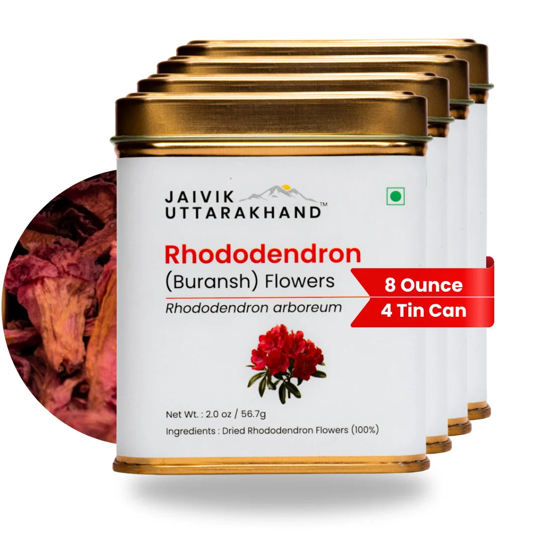 Rhododendron (Buransh) Tea Tin Box
