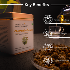 CHA-Infographics-2