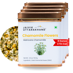 Chamomile Tea Tin Box