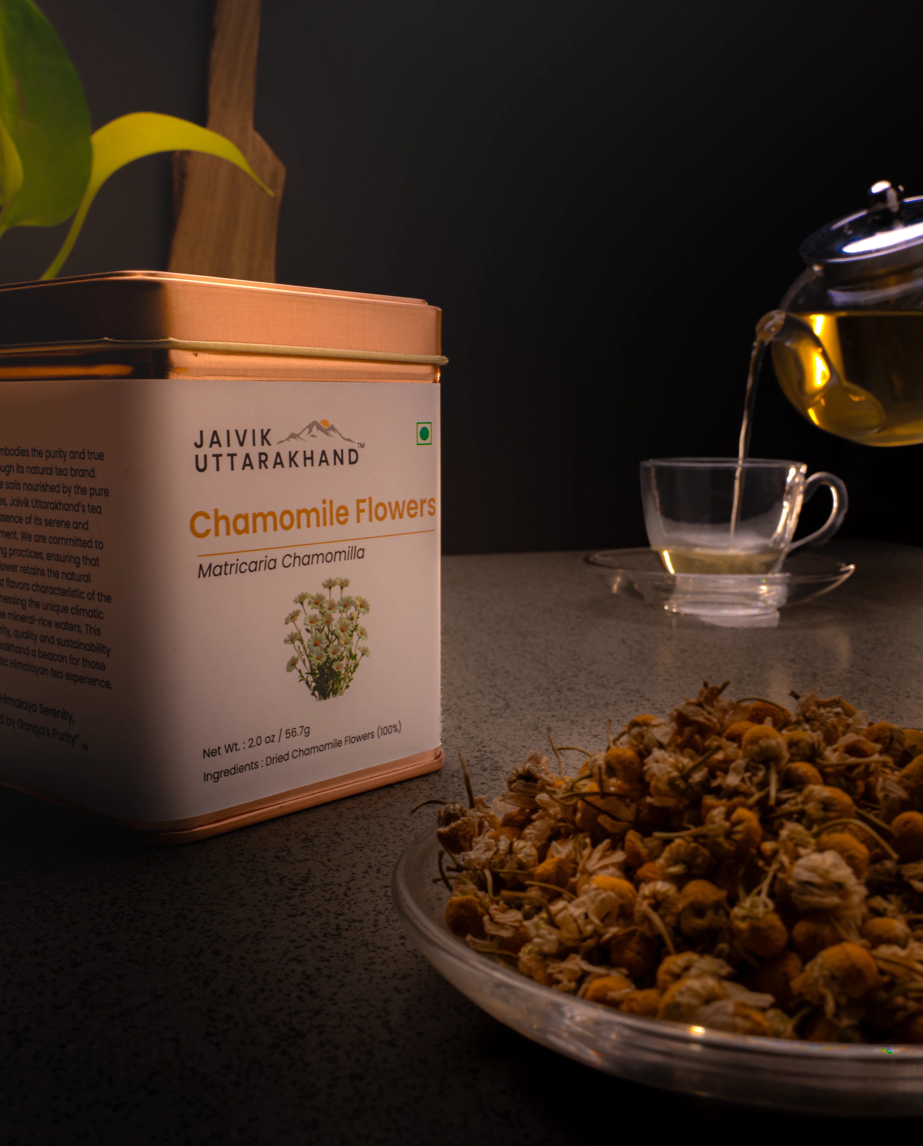 Chamomile_Flower_3