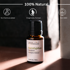 Eucalyptus Essential Oil