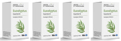 Eucalyptus Essential Oil
