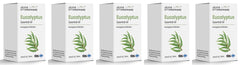 Eucalyptus Essential Oil