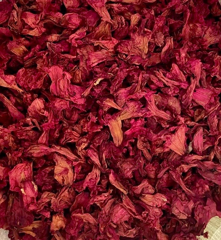 Rhododendron (Buransh) Flower Tea