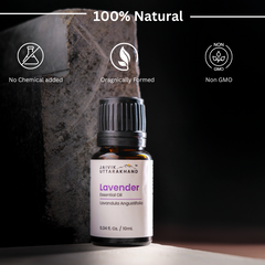 Lavender Essential Oil