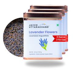 Lavender Tea Tin Box