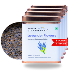 Lavender Tea Tin Box