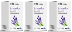Lavender Essential Oil