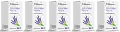 Lavender Essential Oil