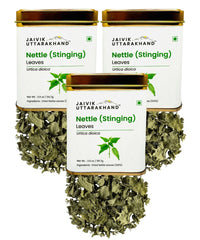 Nettle Tea Tin Box 170.1 Gram