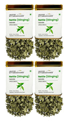 Nettle Tea Tin Box 226.8 Gram
