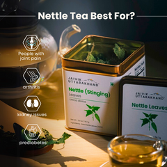 Nettle Tea Bags Tin Box