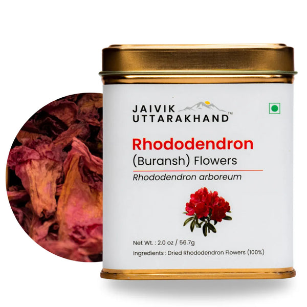 Rhododendron (Buransh) Tea Tin Box