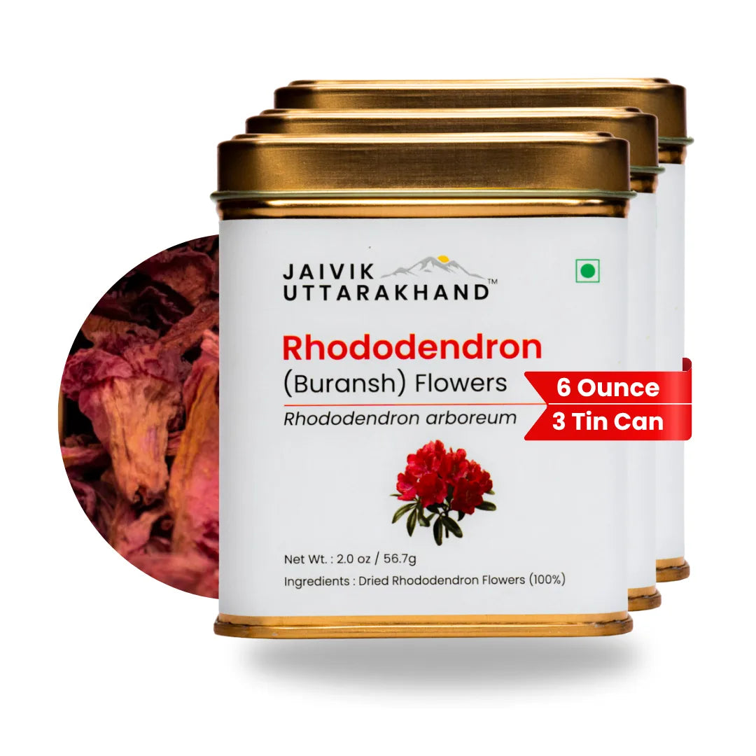 Rhododendron (Buransh) Tea Tin Box