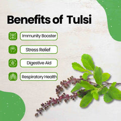 Tulsi Flower Tea